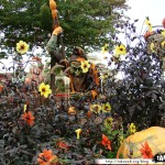 Disneyland 04 - 201009 - Halloween