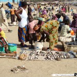 Sénégal 24 - 120310 - Port de pêche de M Bour