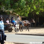 Sénégal 31 - 120310 - M Bour - Calèche