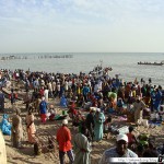 Sénégal 32 - 120310 - Port de pêche de M Bour - Arrivée des Pêcheurs