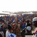Sénégal 33 - 120310 - Port de pêche de M Bour - Marché aux Poissons