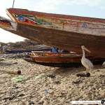 Sénégal 34 - 120310 - Port de pêche de M Bour - Pélican