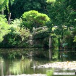 Japon Jour 10 – Kyoto 04