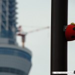 Japon Jour 6 – Tokyo 13