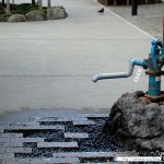 Japon Jour 6 – Tokyo 19