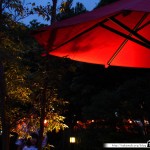 Japon Jour 7 – Tokyo 19